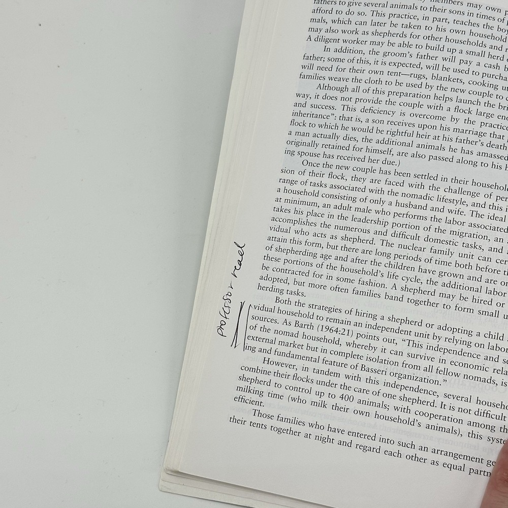 Culture Sketches: Case Studies in Anthropology 6th Sixth Edition Peters-Golden - Picture 6 of 8